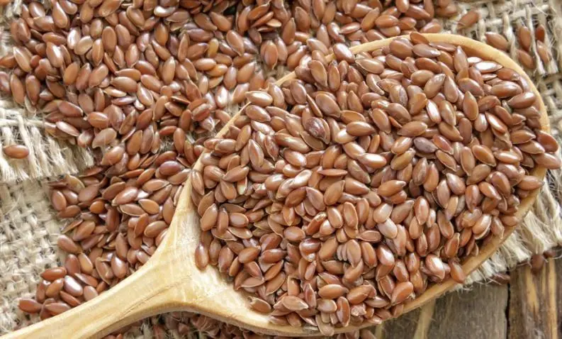 Semillas que son venenosas y no lo sabías