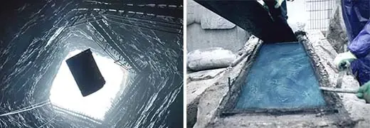 Mujer fue descubierta después de 800 millones de años