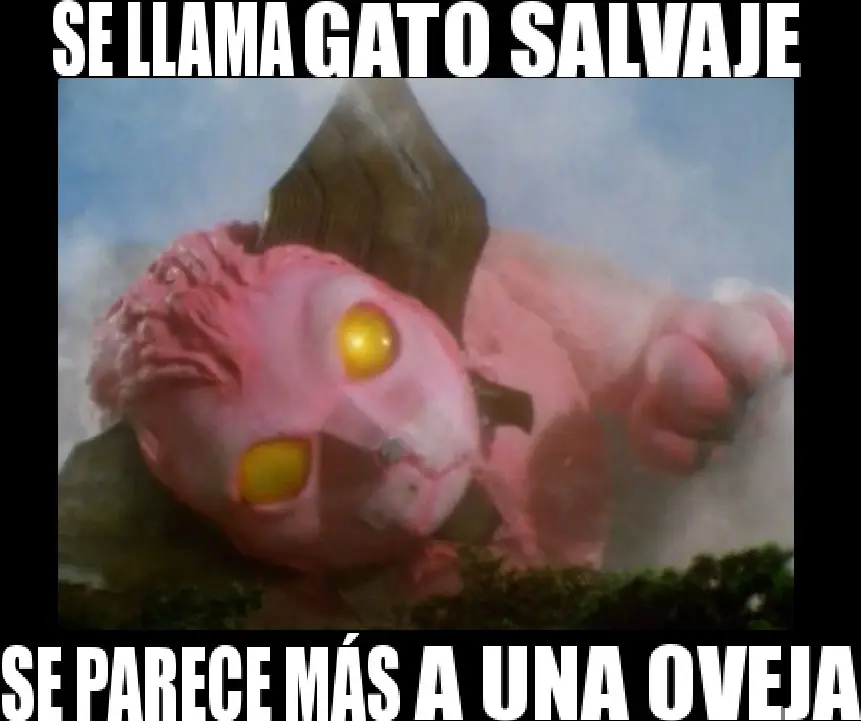 infancia