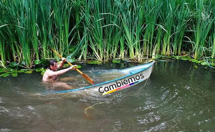 gobernador