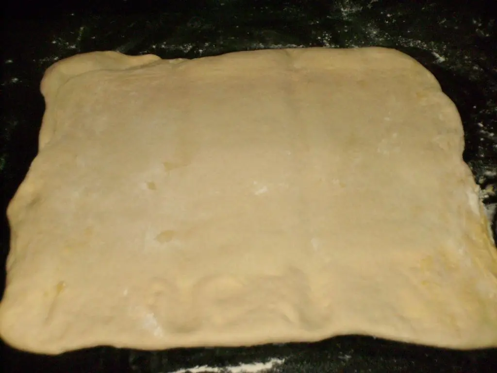 Empanada de atun
