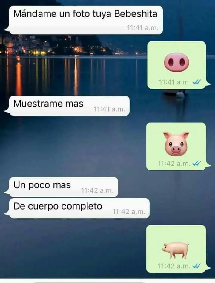 Recopilación de memes para alegrarte la noche