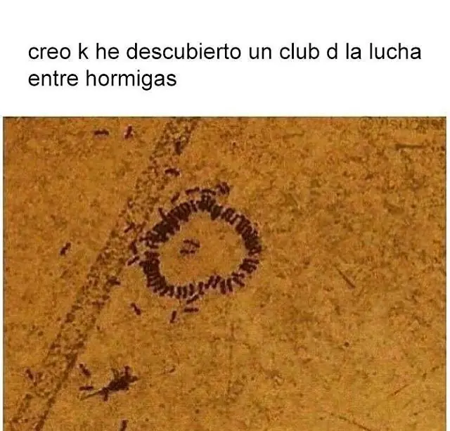 Recopilación de memes para alegrarte la noche