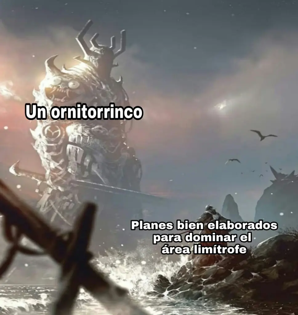 memes
