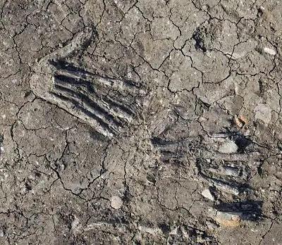 6 Hallazgos arqueológicos muy misteriosos e inquietantes