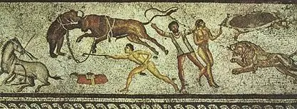 tipos de gladiadores