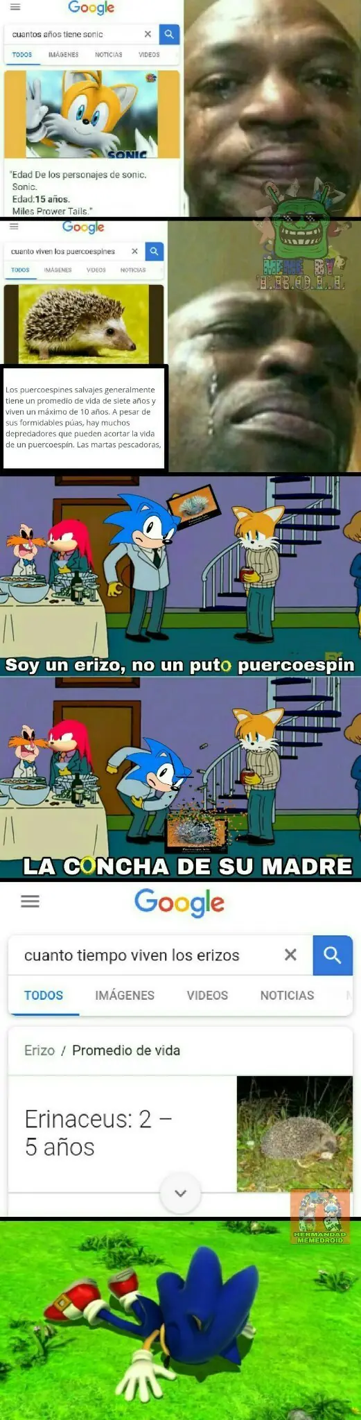 Humor