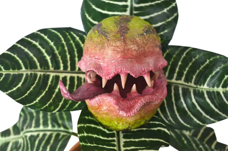 Plantas Carnivoras