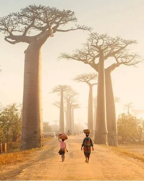 30 fotos interesantes