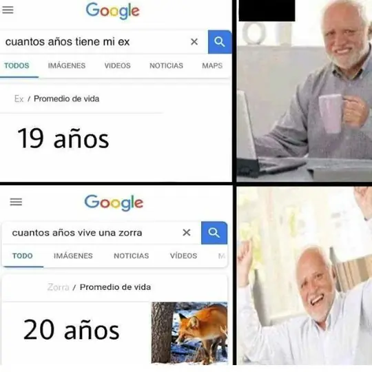 Memes? La mejor Recopilación de memes en esta noche
