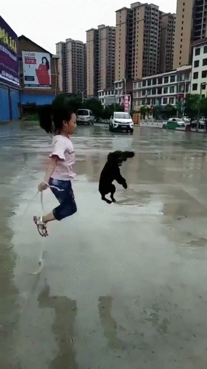 caninos