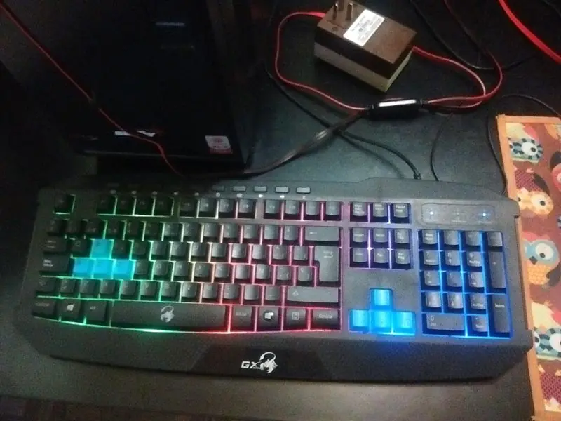 mouse
