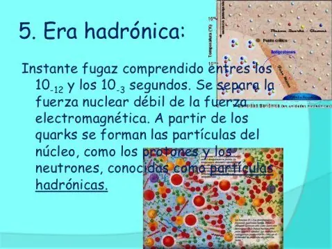 Astrofisica