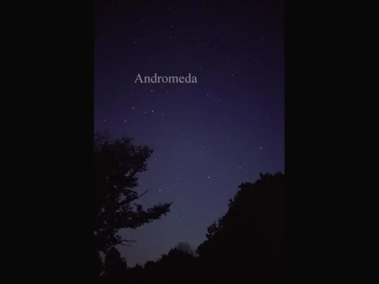 galaxias