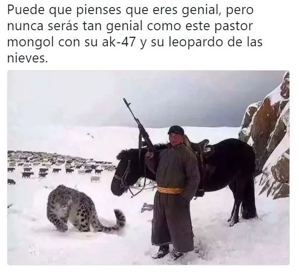 mememania
