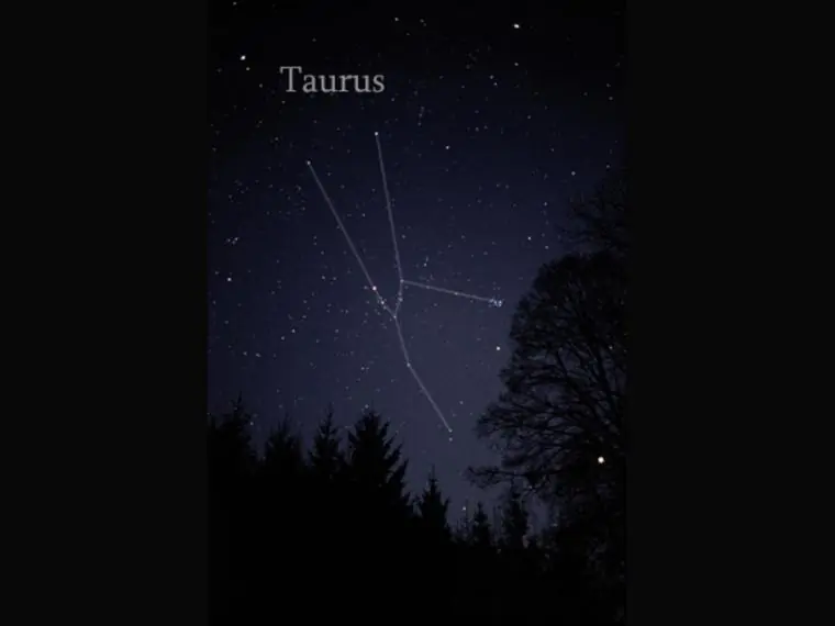 estrellas