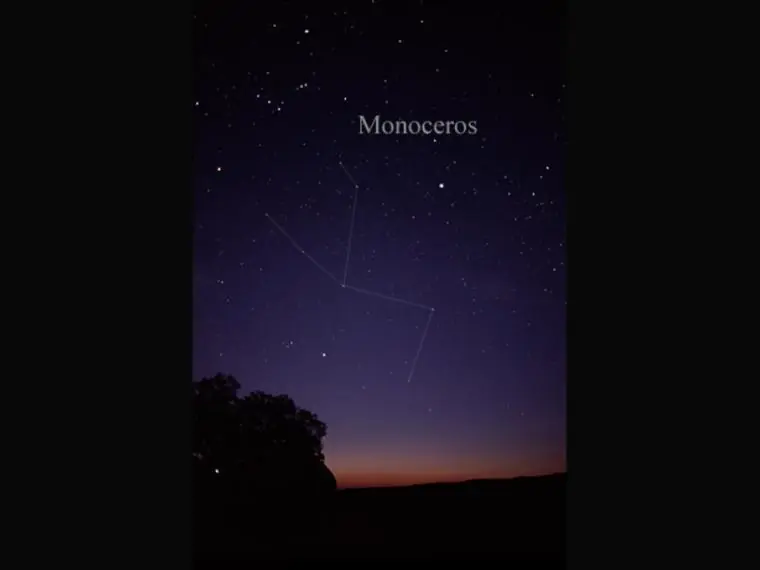 galaxias