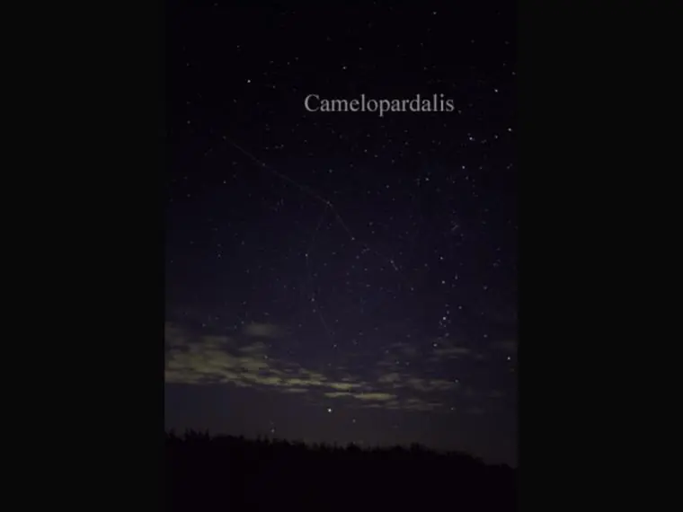 cielo