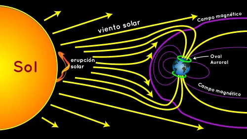 Qué es una aurora? Inteligencia colectiva