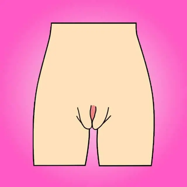 de vagina