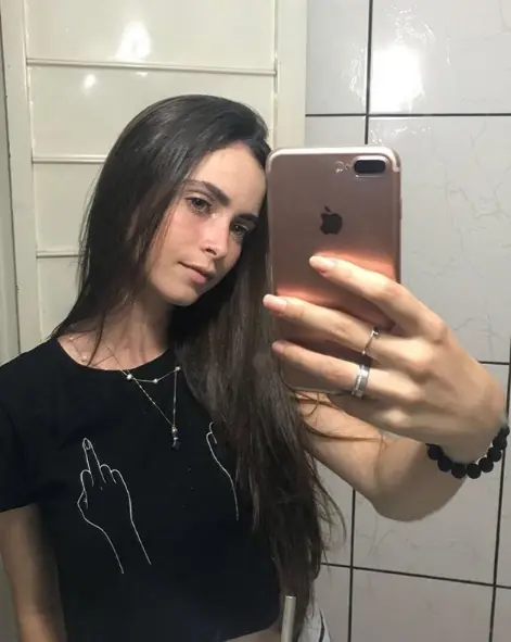 Sur de Brasil