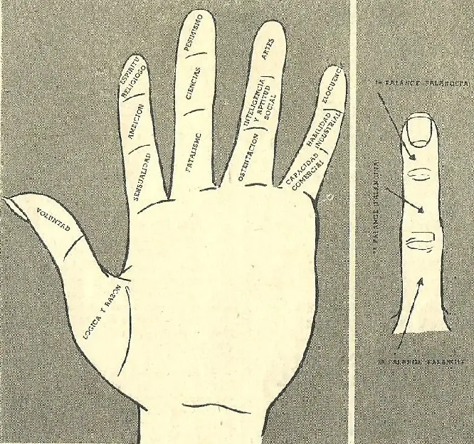Quirología, estudio de las uñas.