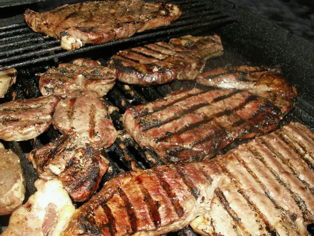 TOROS