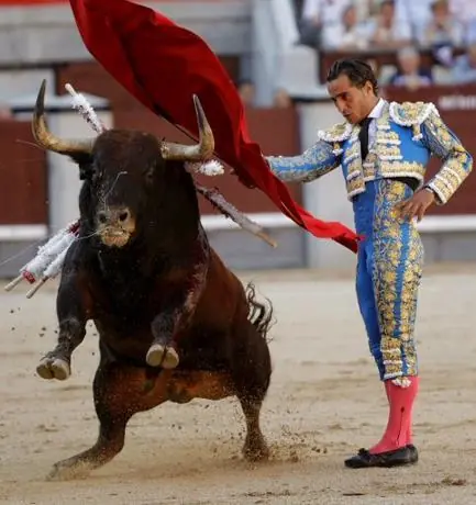 Estas en contra de la tauromaquia y comes carne? pasate