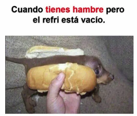 Humor: Memes que te darán la dosis necesaria para reir