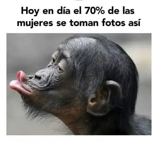 Humor: Memes que te darán la dosis necesaria para reir