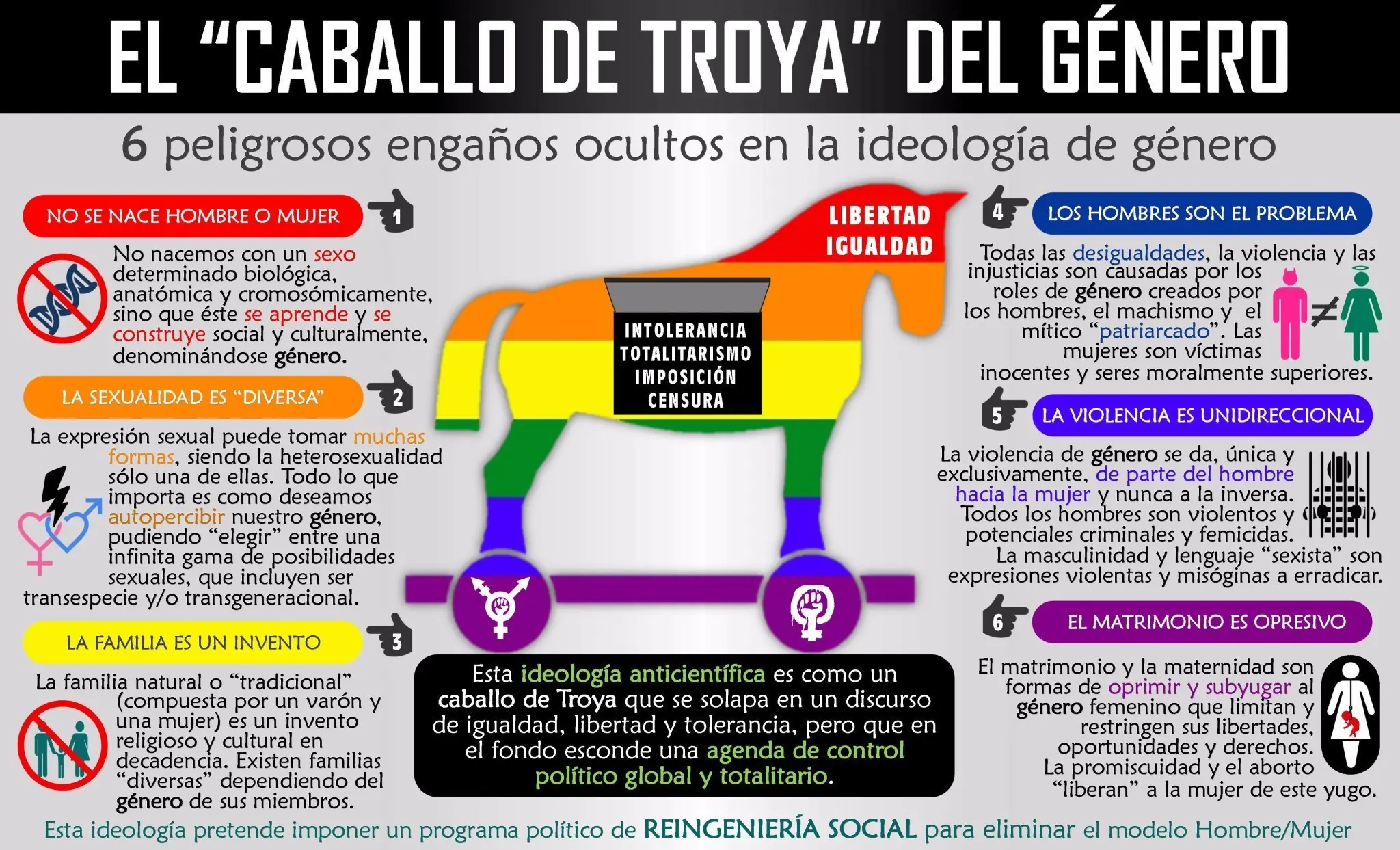 Hagamos top a la Dra Brandolino, orgullo nacional