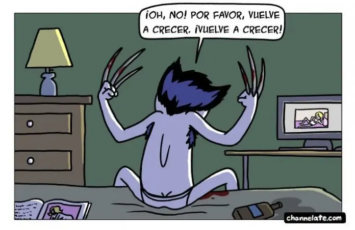 vinetas