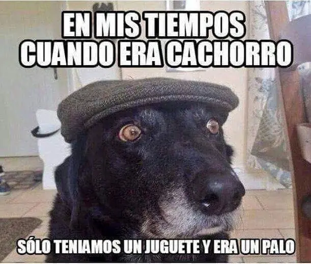 divertido