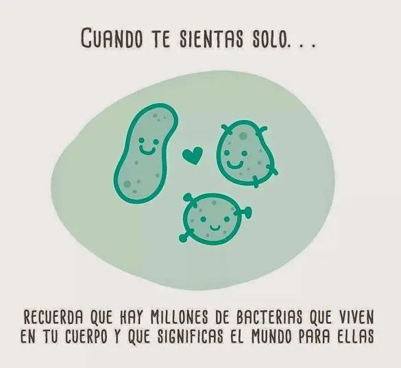 Humor