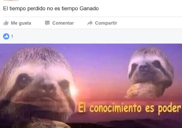 memes