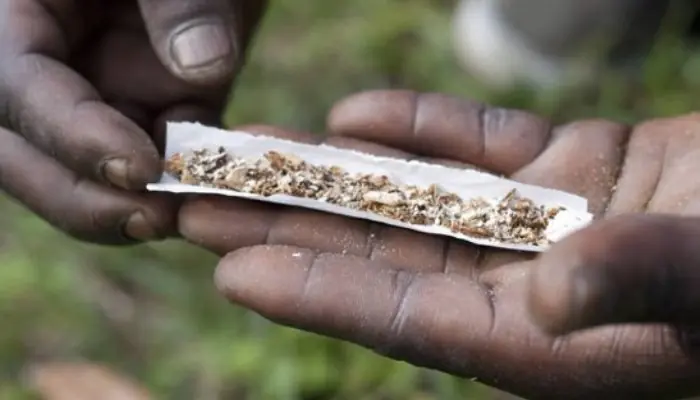 Las 10 Drogas Más Peligrosas Del Mundo