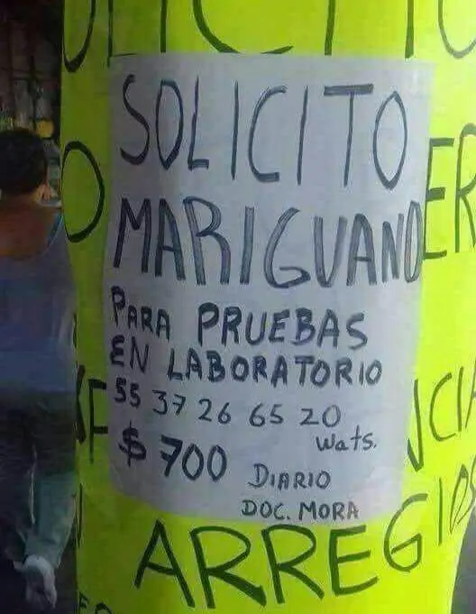 Humor dormido; memes que te despertaran al instante