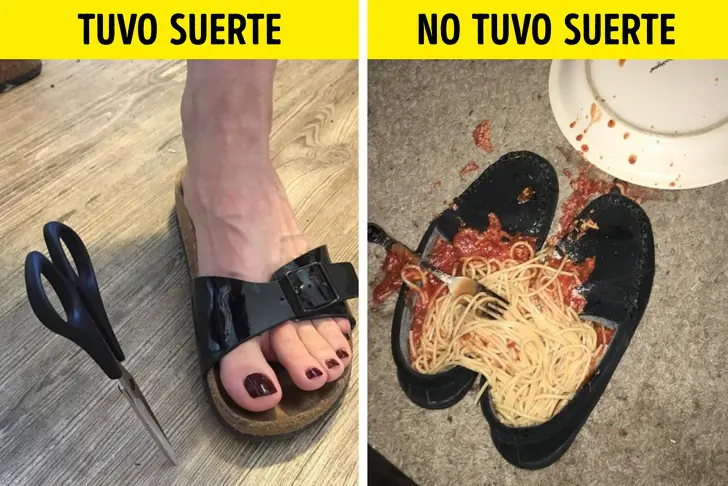 humanidad