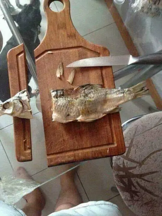 cocinar