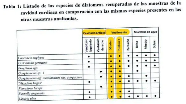 Santiago Maldonado murió de hipotermia, recibió una RCP