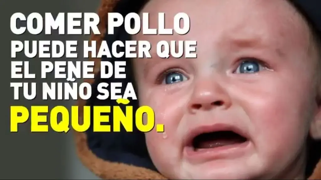 Comer pollo hace que los niños tengan penes pequeños