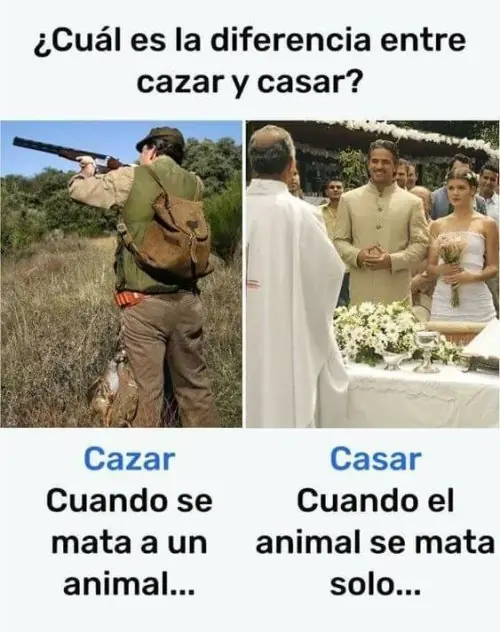 Humor imposible: No dejaras de reírte en cada imagen