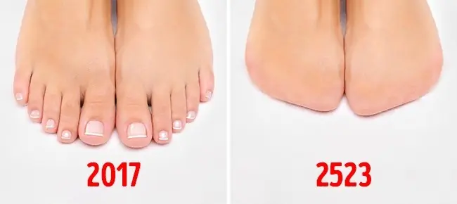 15 Partes del cuerpo humano que desaparecerán en un futuro