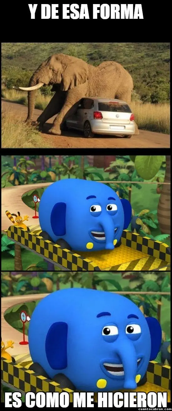 Memes e imágenes random para alegrar el miércoles 5