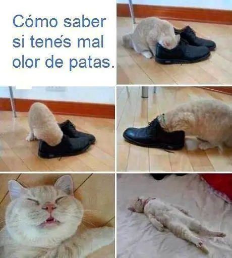 mejores