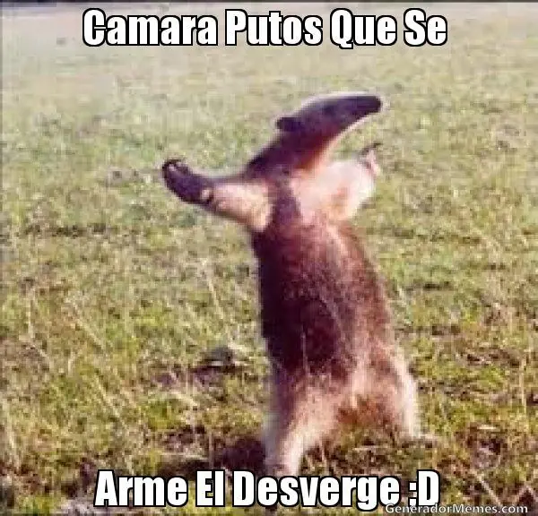 imagenes