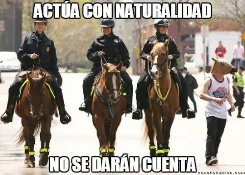 miercoles