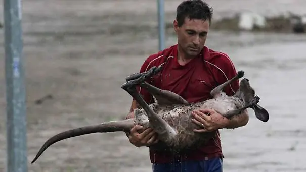 humanidad