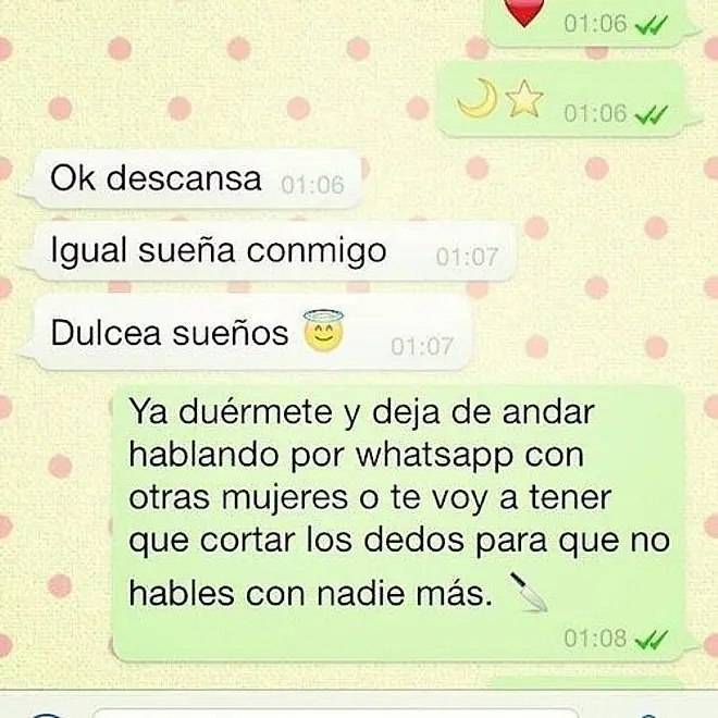 llevaron