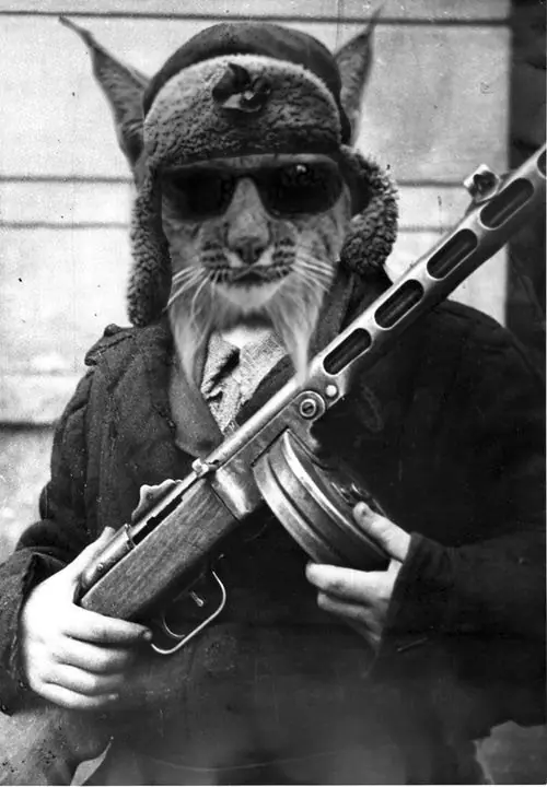 ronosos